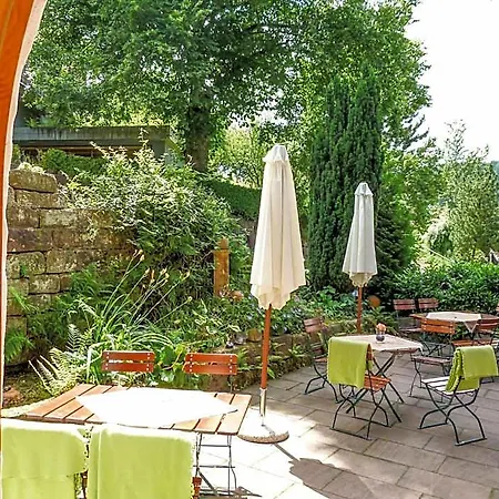 Oberdeisenhof Land- Und Wanderhotel Garni 호텔 바이에르스브론