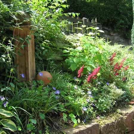 Oberdeisenhof Land- Und Wanderhotel Garni Baiersbronn