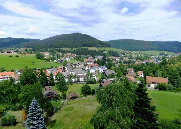 Oberdeisenhof Land- Und Wanderhotel Garni 3* Baiersbronn